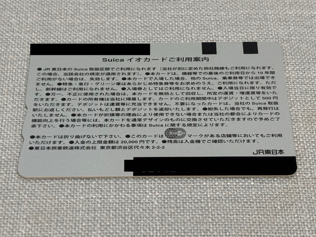 【使用可能】ピカチュウ Suicaカード 台紙&パスケースセット