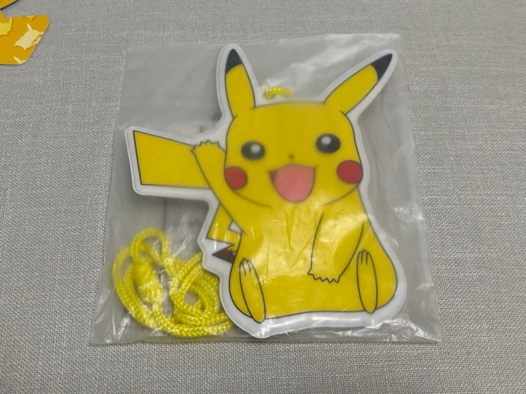 【使用可能】ピカチュウ Suicaカード 台紙&パスケースセット