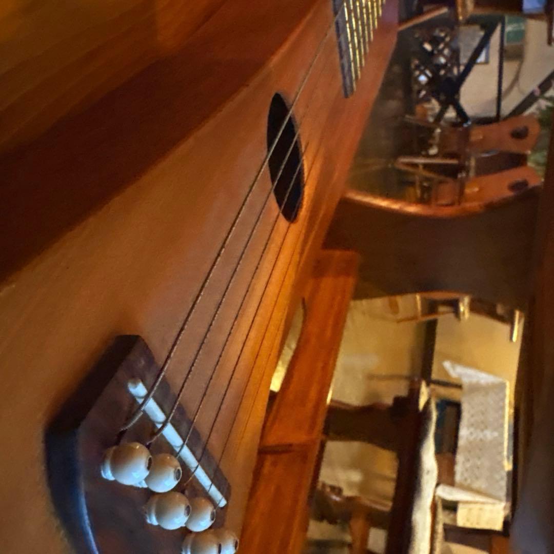 【ビンテージビンテージ】MARTIN Backpacker バックパッカーギター