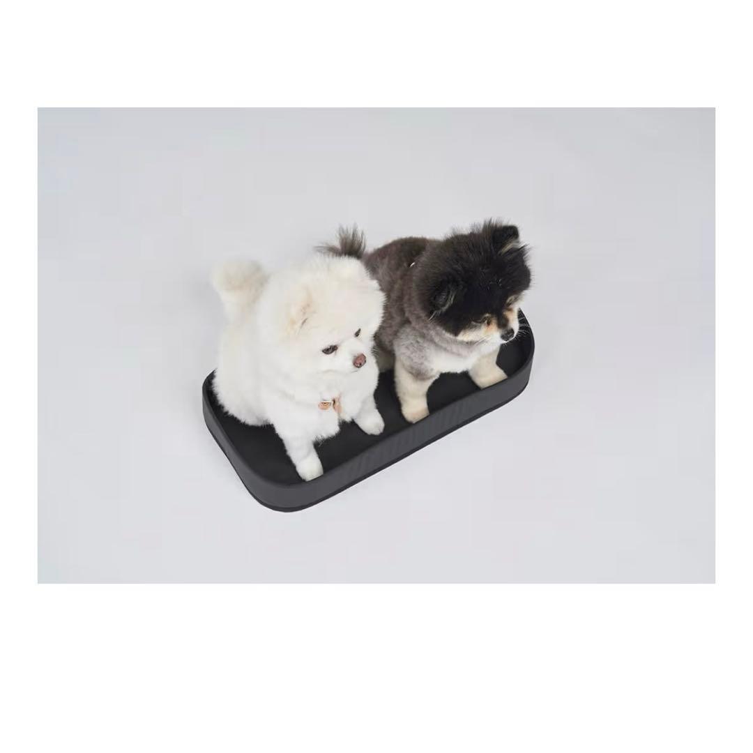 neko AirBuggy 3WAY エアバギーリュック ワイドサイズ