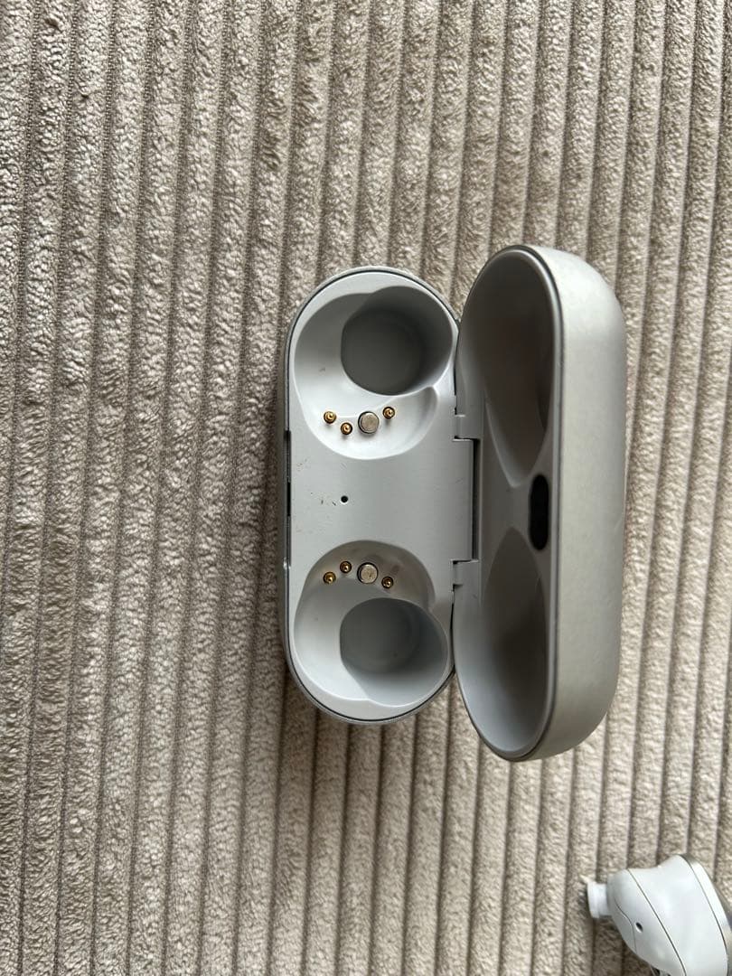 Technics EAH-AZ80 シルバー