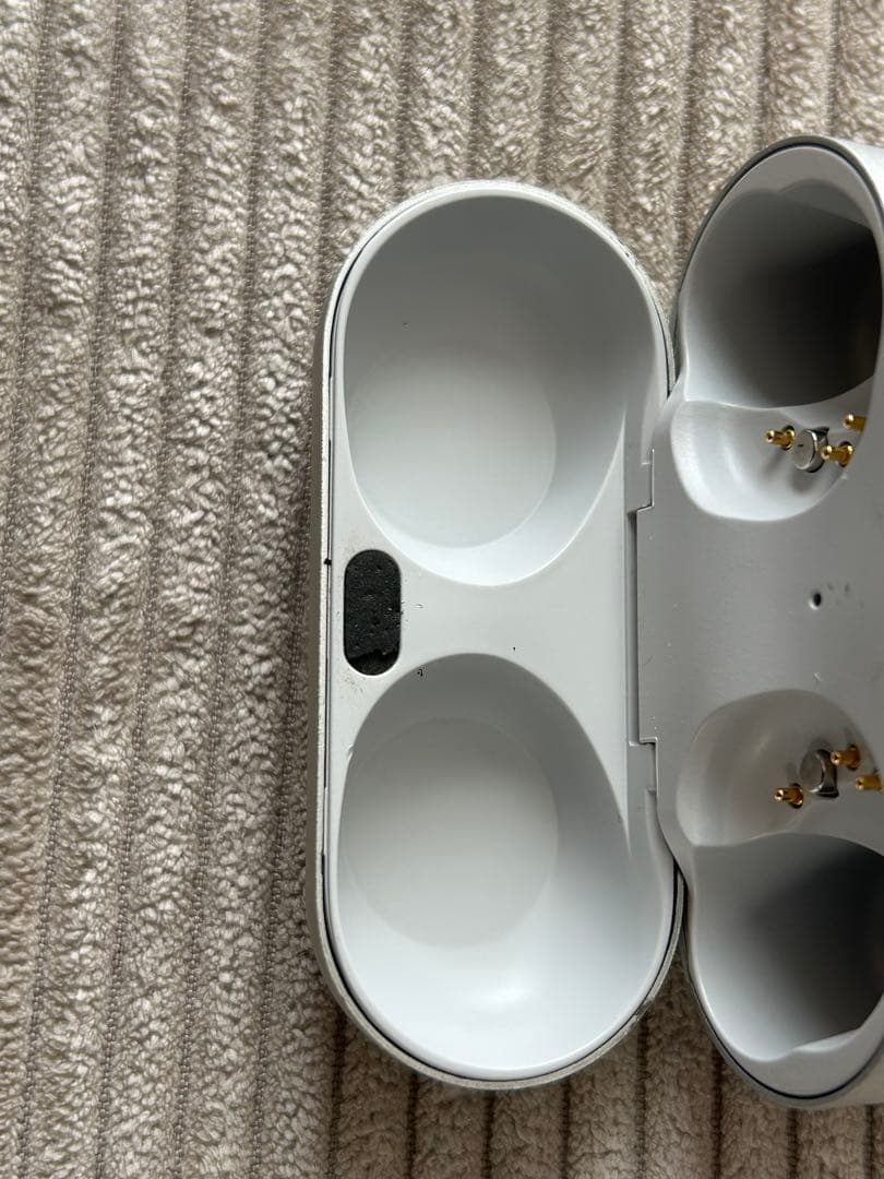 Technics EAH-AZ80 シルバー