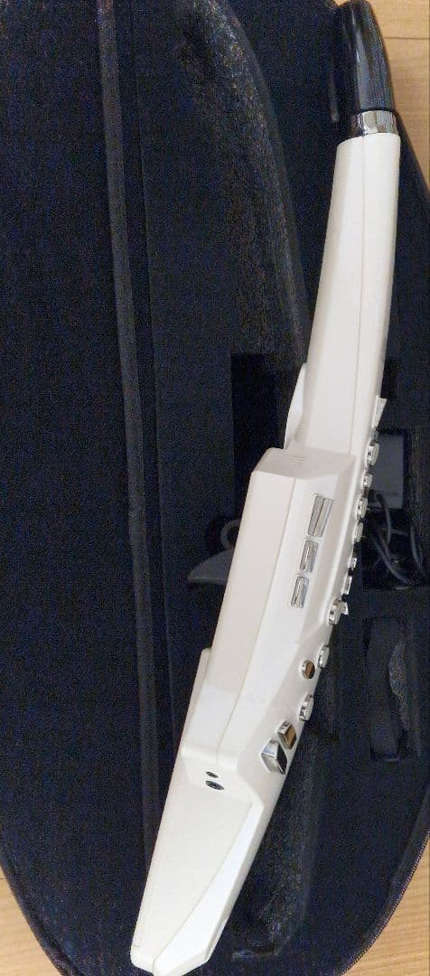 Roland エアロフォン AE-10