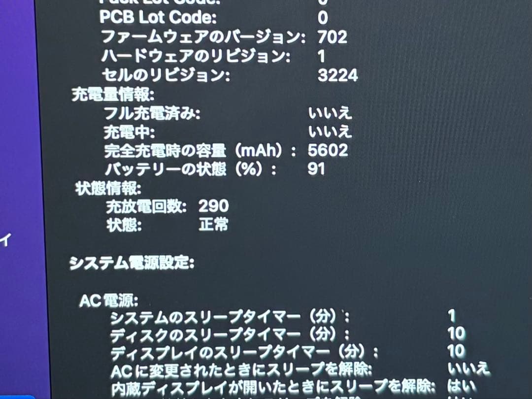 MacBook Pro 13インチ　A1502 256GB i5 Iris