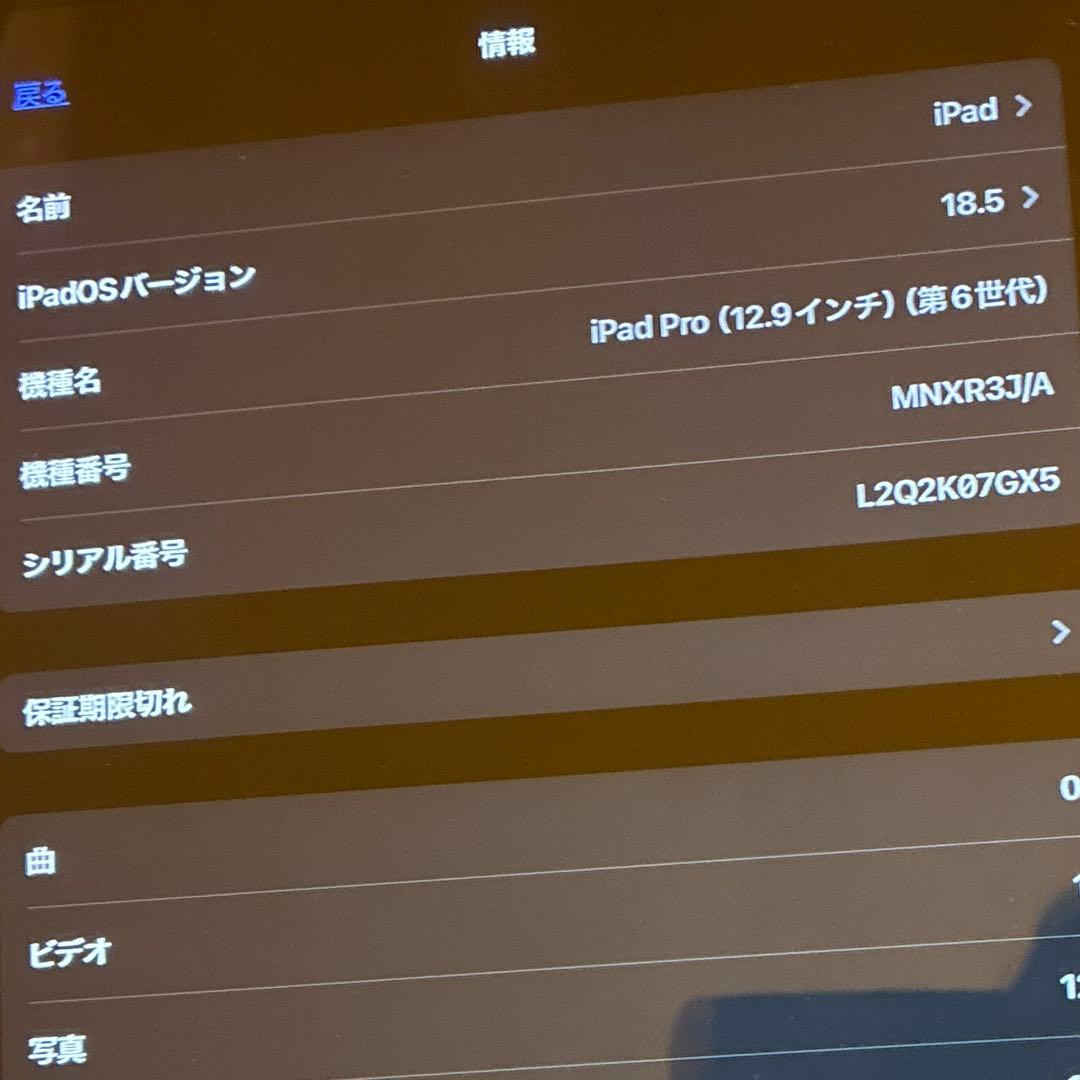 iPad Pro 第6世代　12.9インチ　256GB