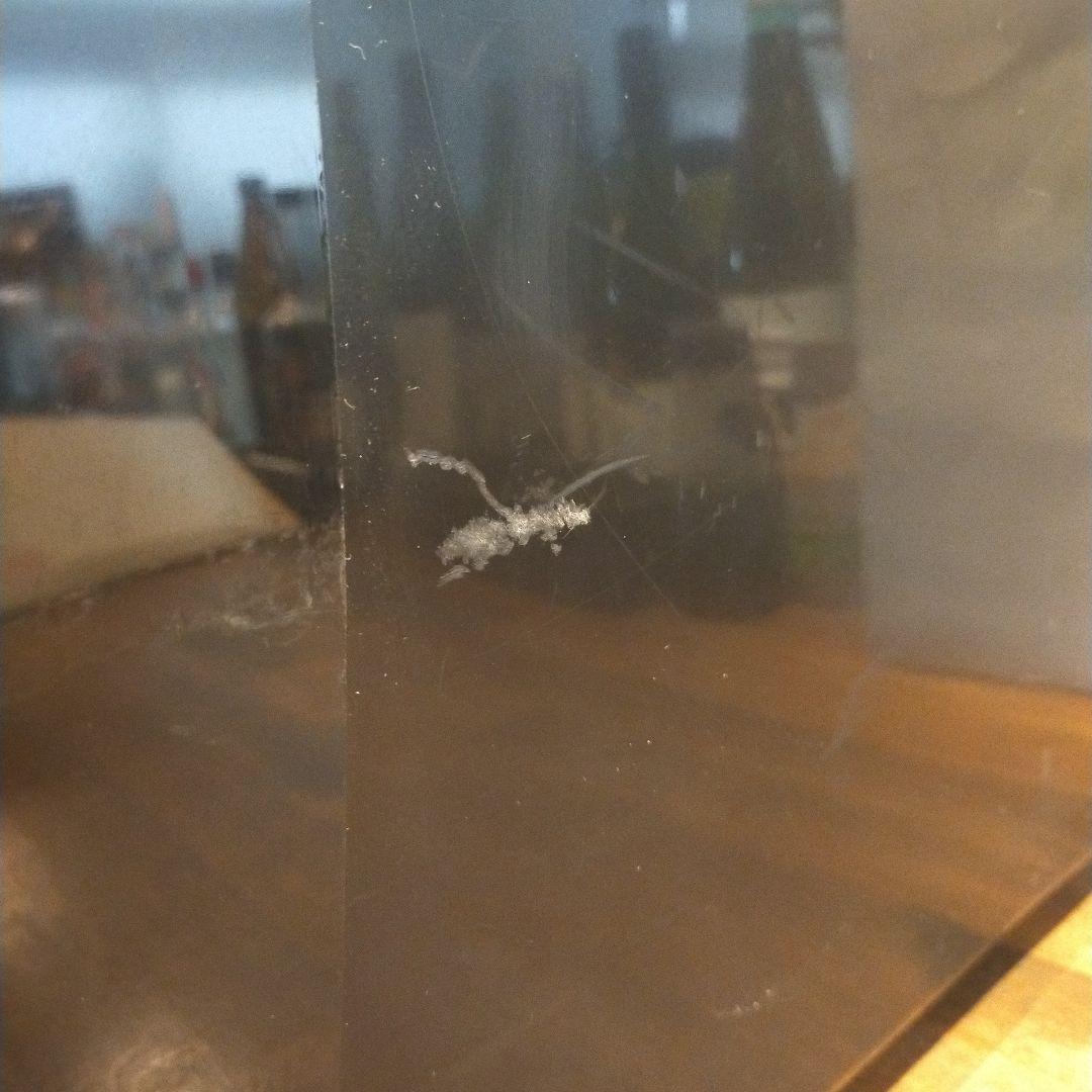 ベルソス 25L冷温庫 ブラック VS-404 ポータブル AC DC 対応