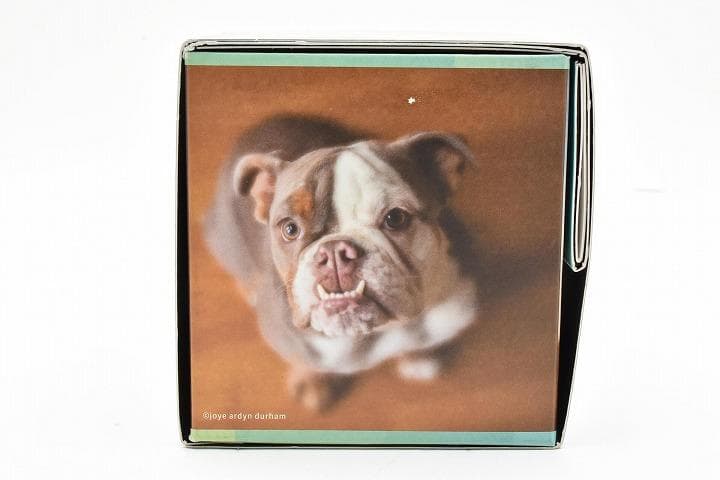 15238E ★新品★ レンズベビー 56mm F1.6 LENSBABY