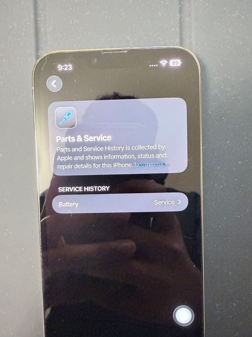 iPhone 13Pro max アルパイングリーン SIMフリー 512gb