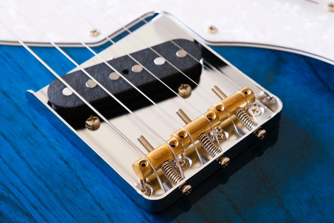 ギター FGN FUJIGEN NTE10MAH SBB Neo Classic