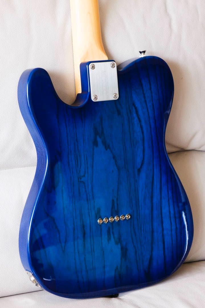 ギター FGN FUJIGEN NTE10MAH SBB Neo Classic