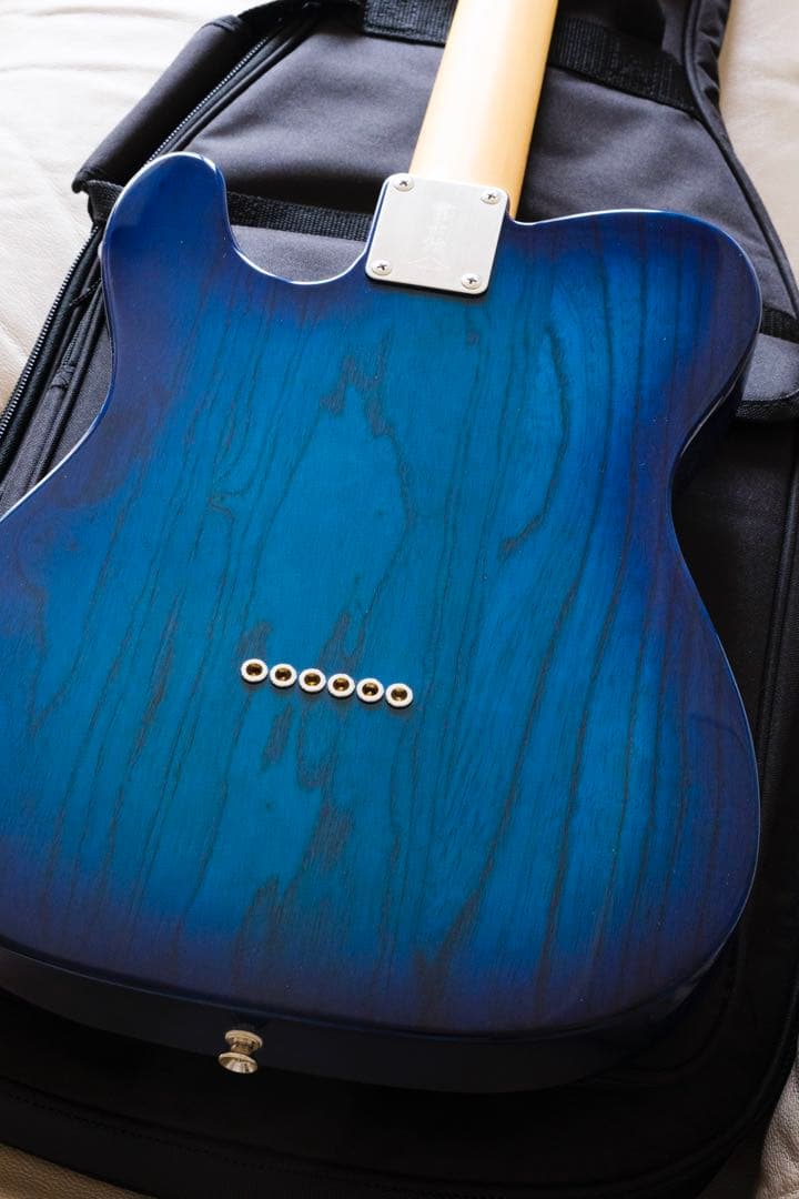 ギター FGN FUJIGEN NTE10MAH SBB Neo Classic