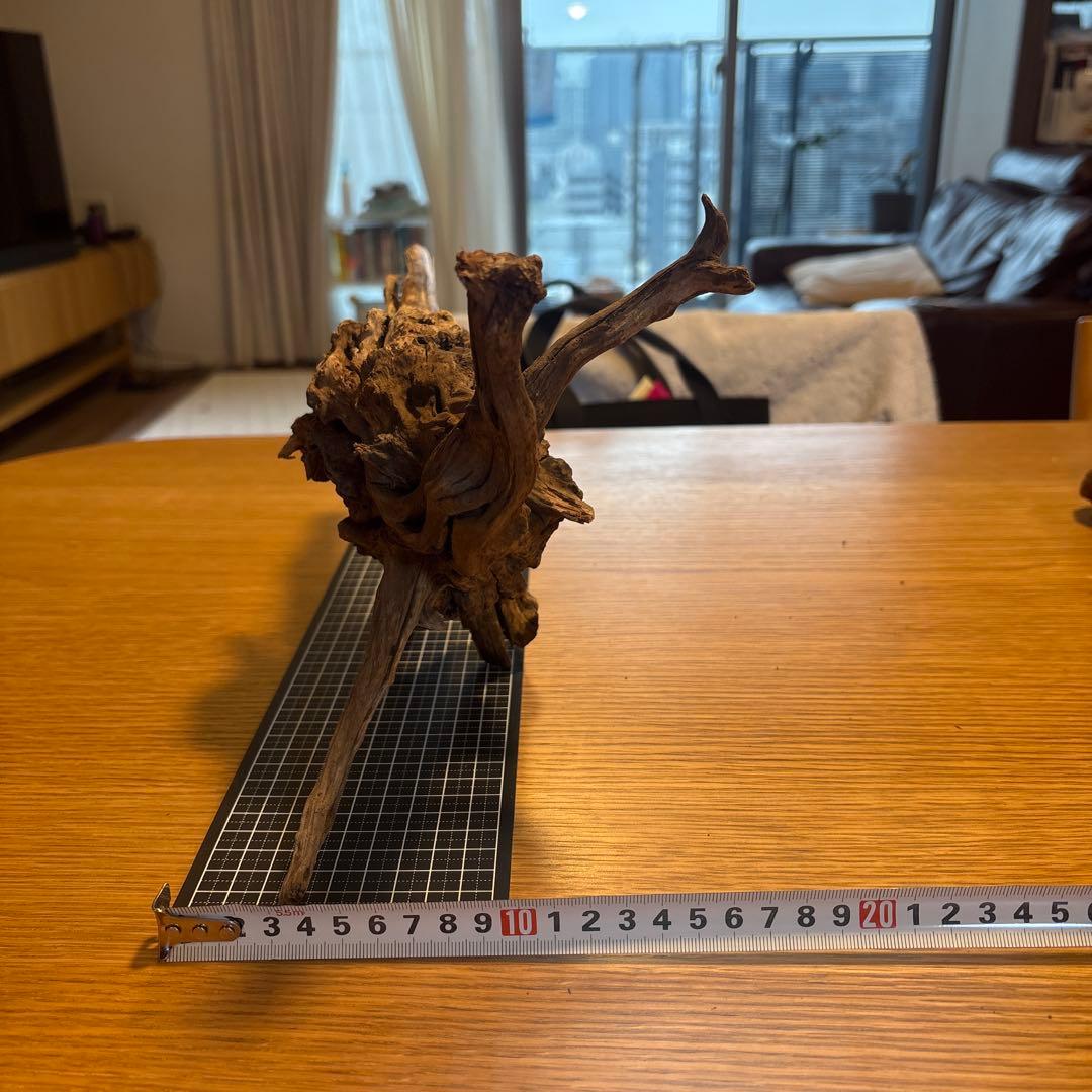 【早い者勝ち】ADA流木　5本（まとめ買い500円引）