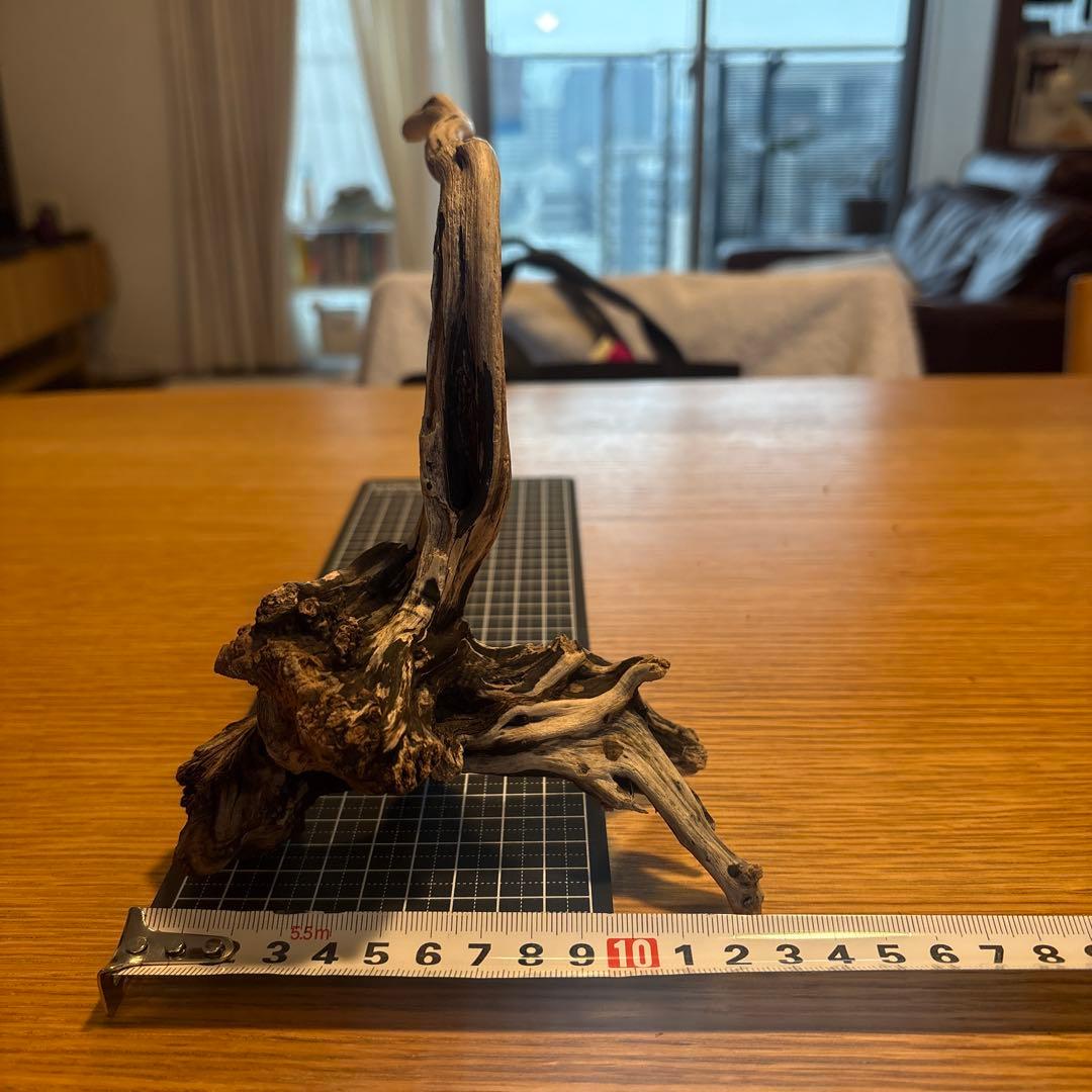 【早い者勝ち】ADA流木　5本（まとめ買い500円引）