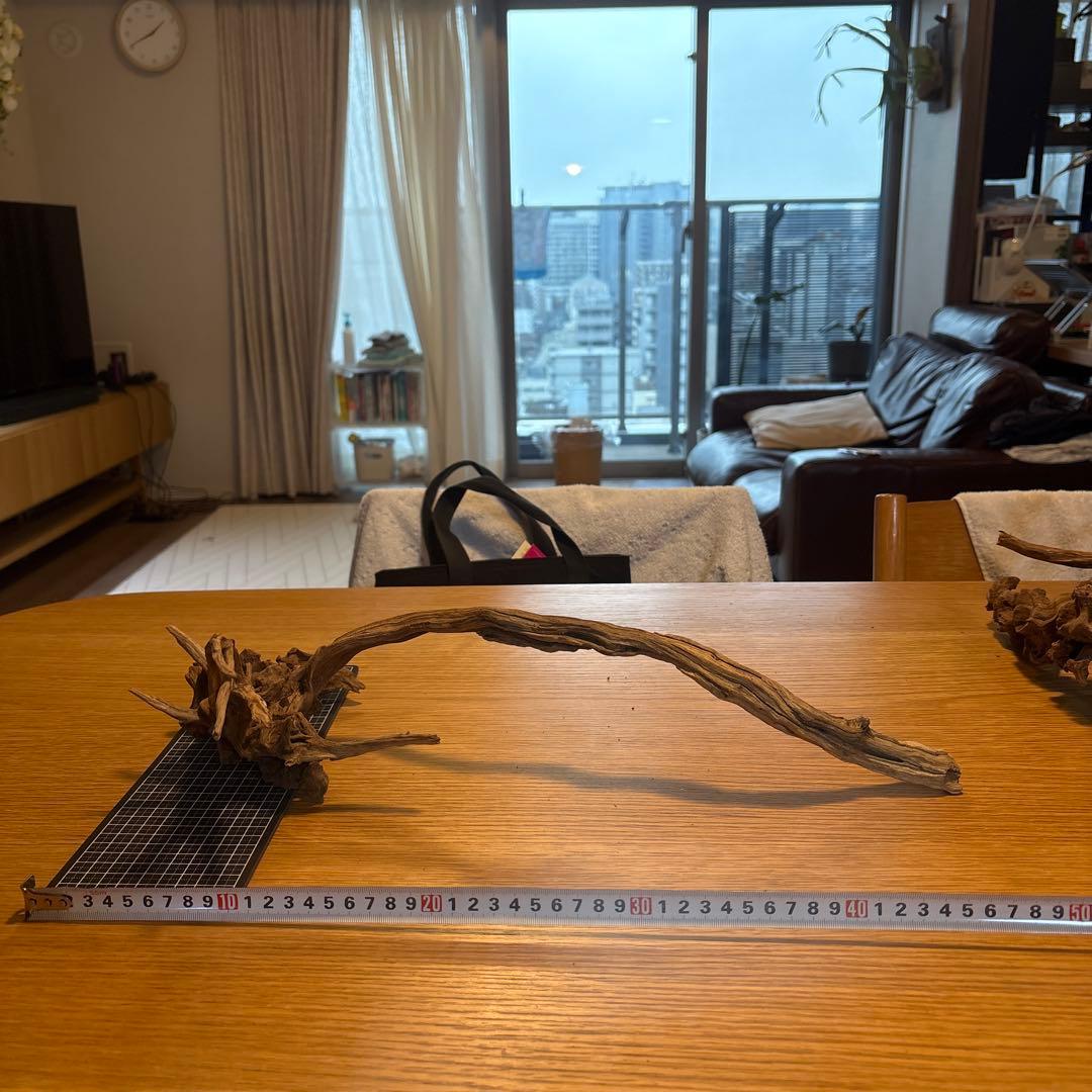 【早い者勝ち】ADA流木　5本（まとめ買い500円引）