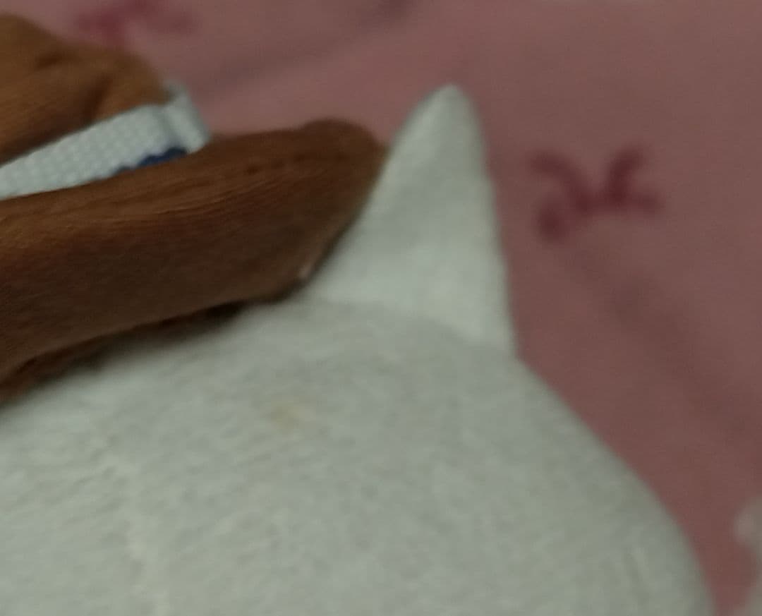 ねこぺん日和　ねこぺん日和展　マスコット　※難あり