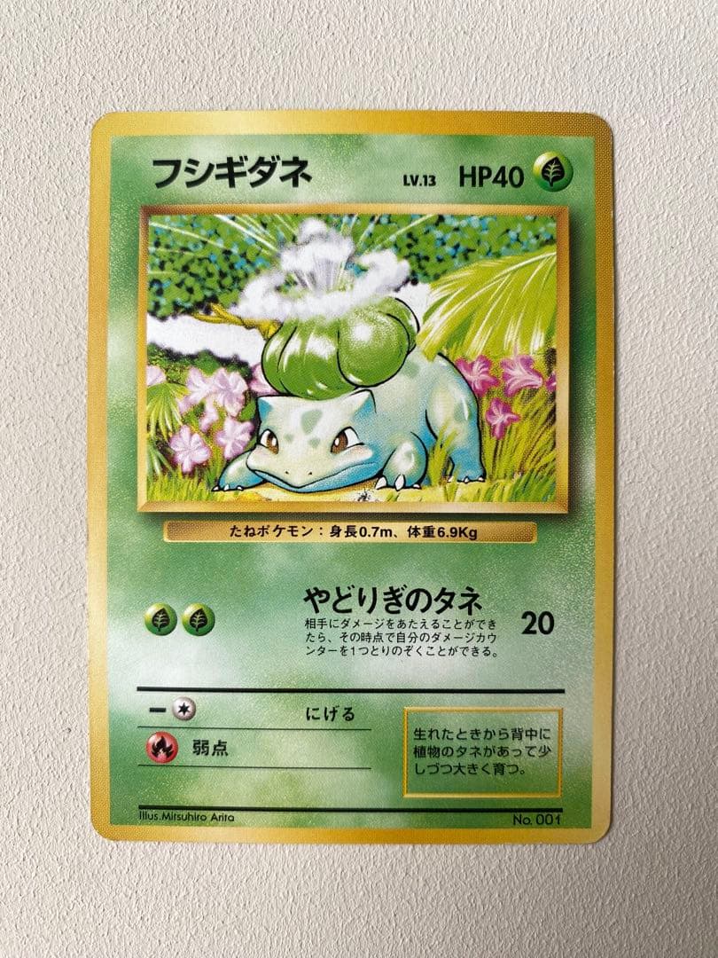 旧裏 御三家3枚セット 星なし 初期 当時品