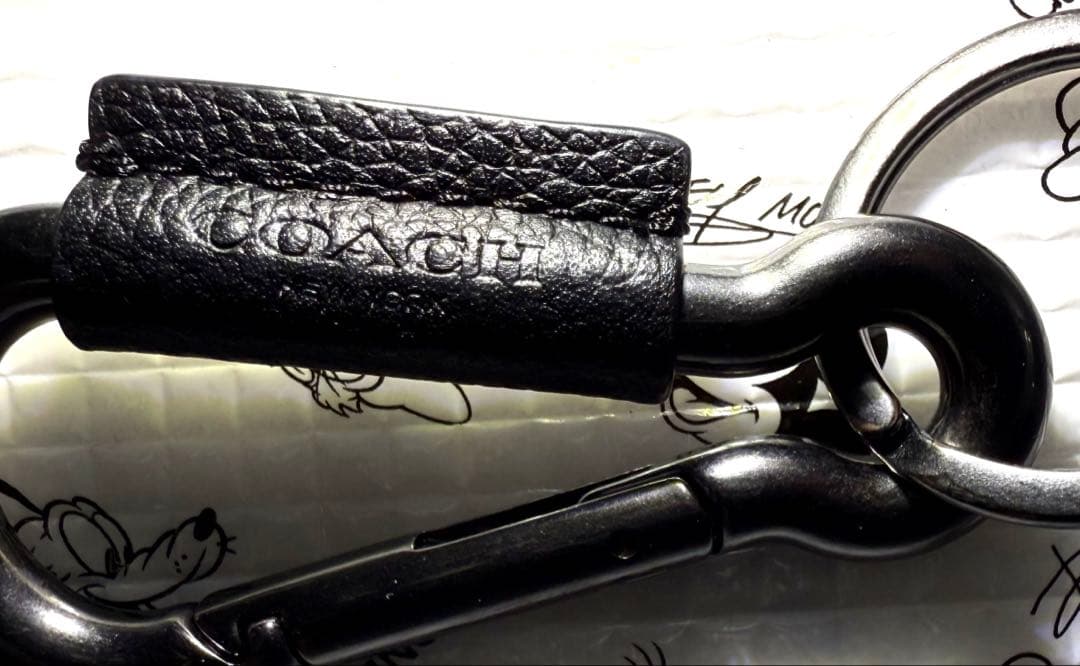 AirPods Pro 2本体 & ケース付き(カラビナcoach)