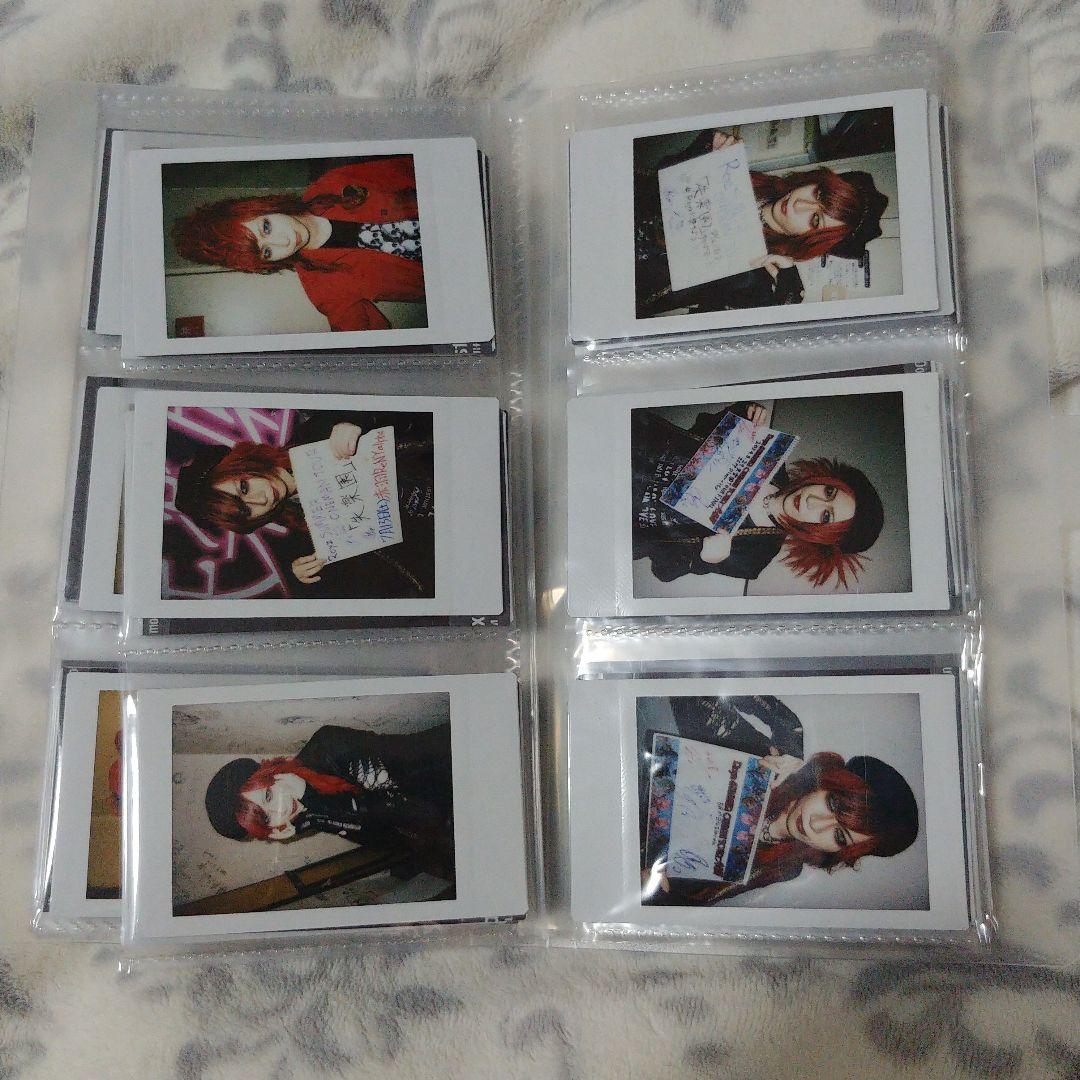 Royz 公大 チェキ91枚