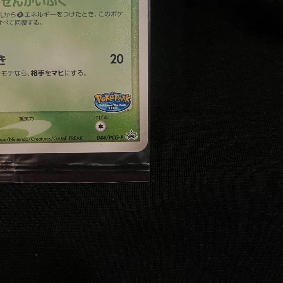 ポケパークのセレビィ　プロモ　未開封　ポケモンカード