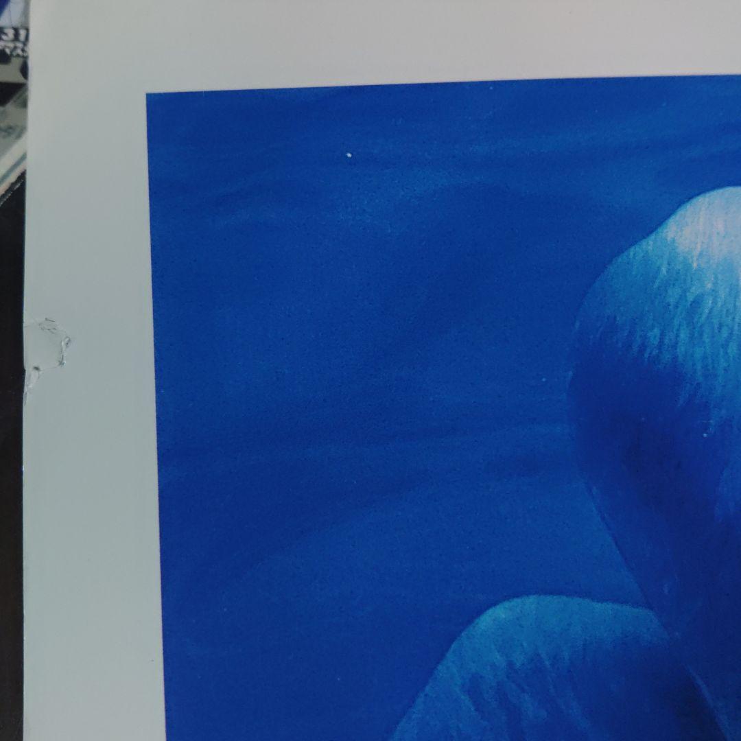 夢なら醒めて　ポスター　　印刷物