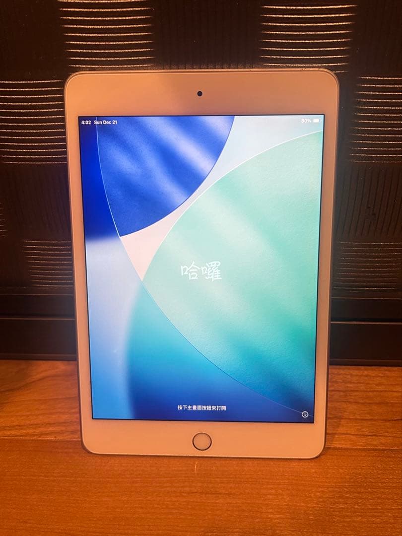 iPad mini 第5世代 [純正箱・付属品完備] ホワイトスポットあり