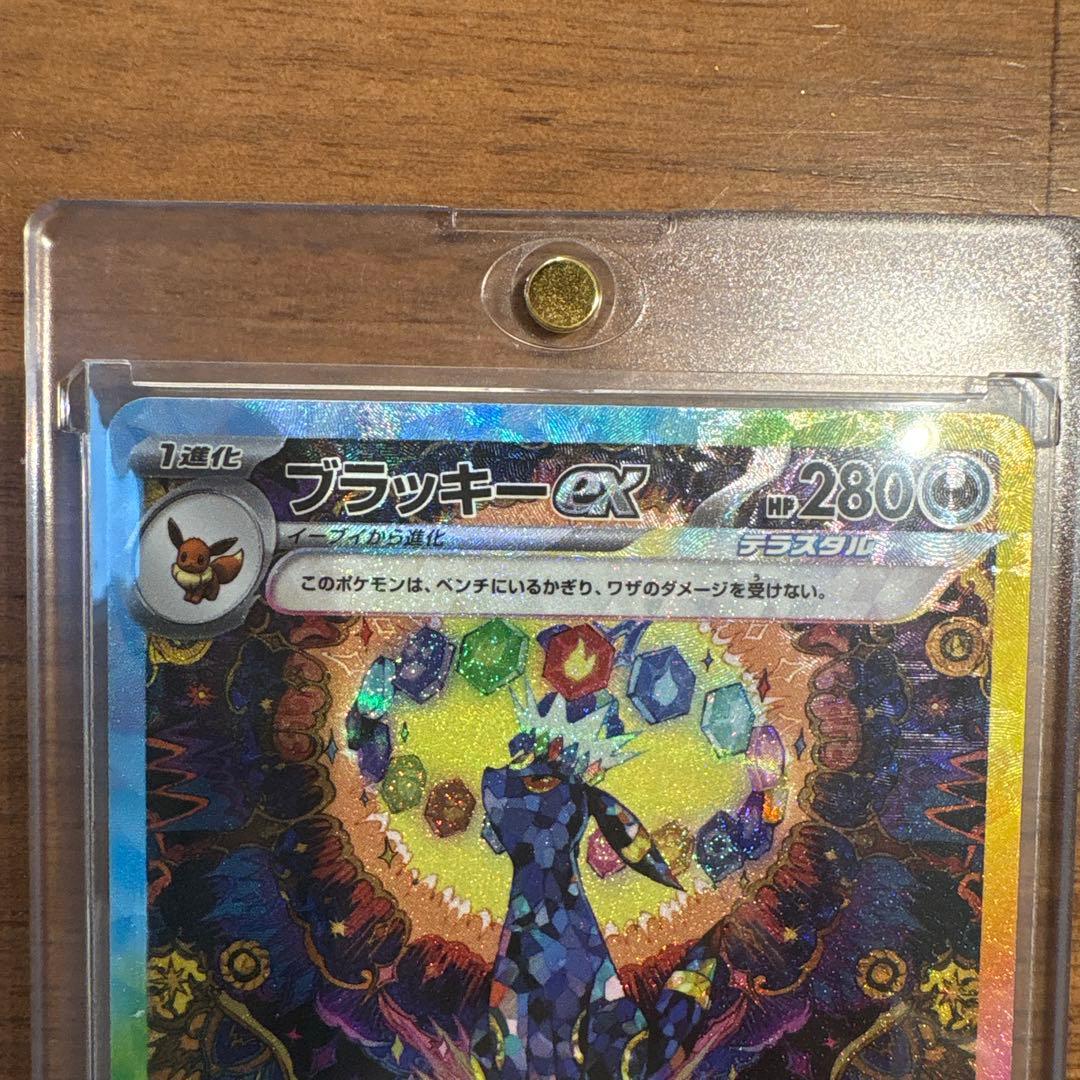 テラスタルフェス　ブラッキーex SAR