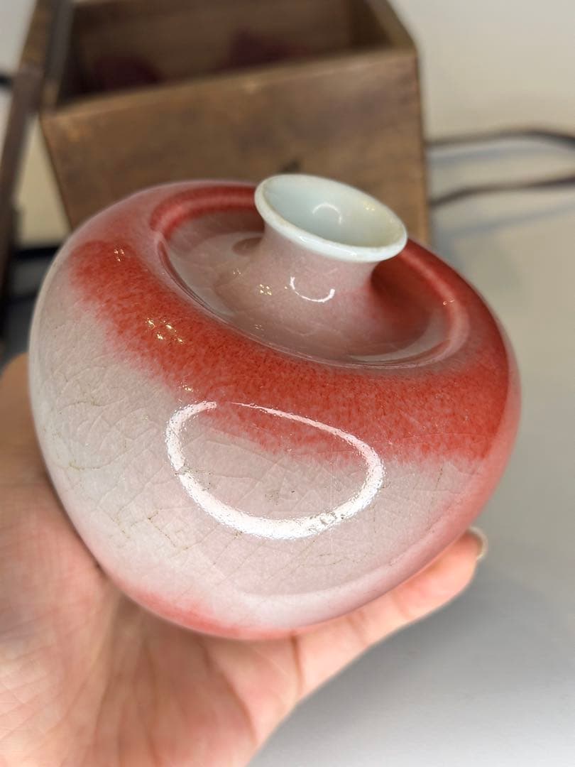 希少 清時代 大清康熙年製款 蘋果尊 朱釉 賞瓶 陶磁器 古美術 共箱 時代物