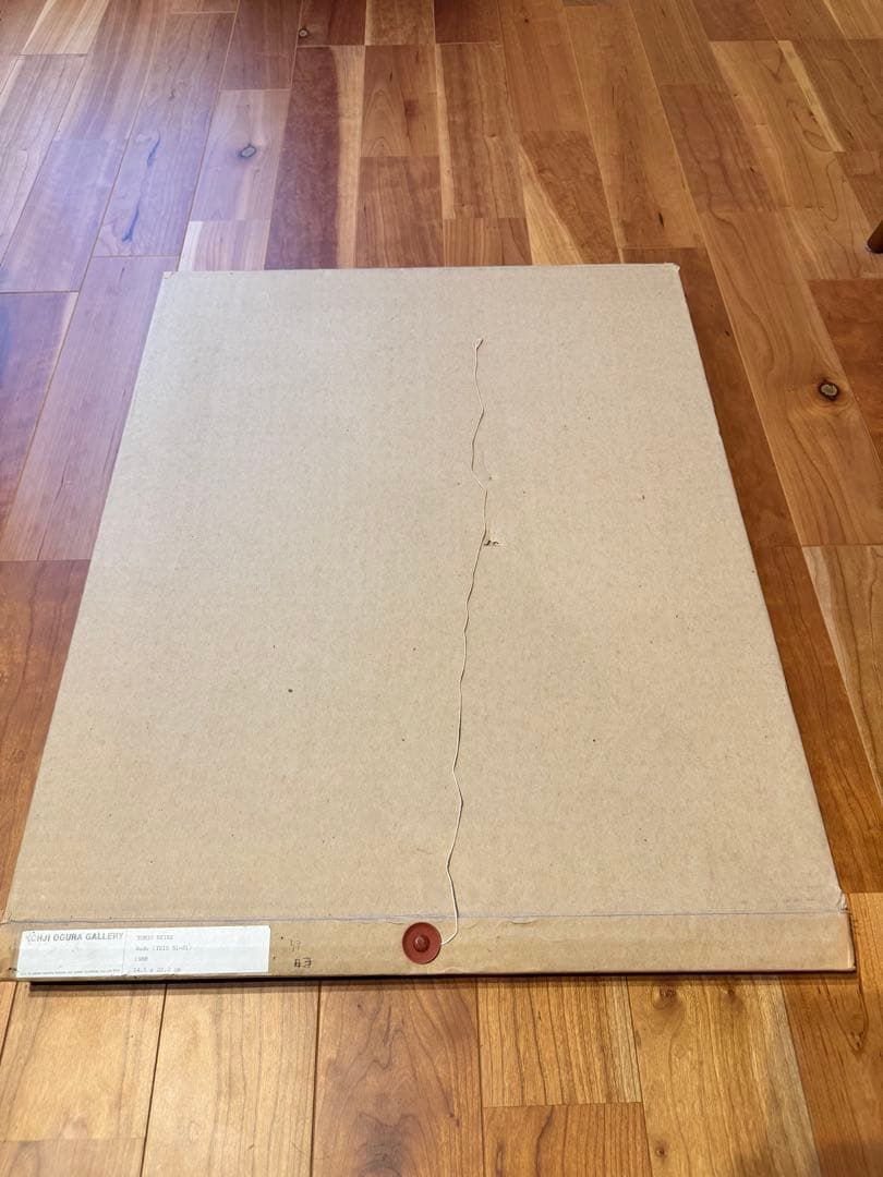 芸術写真 TOMIO SEIKE nude 1988