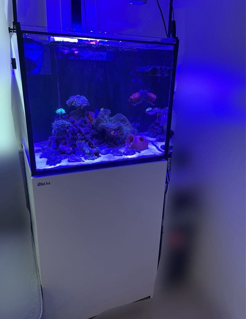 Redsea REEFER 170 G2+ 上