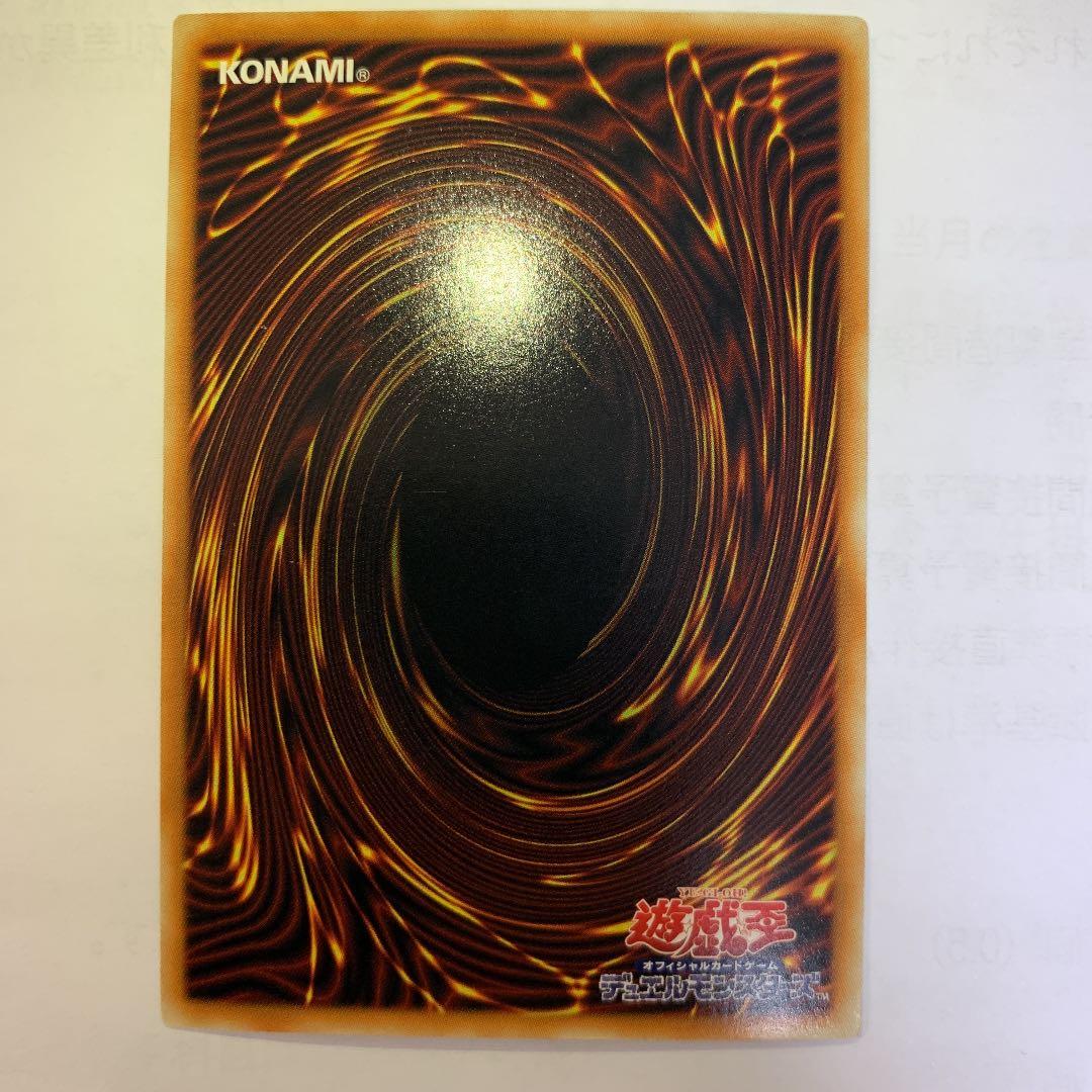 確認用　レインボードラゴン