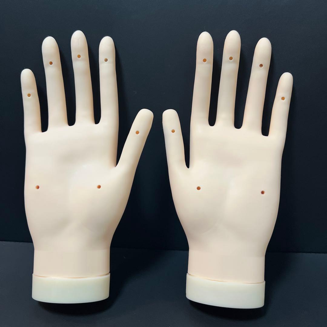 検定用ネイルハンド