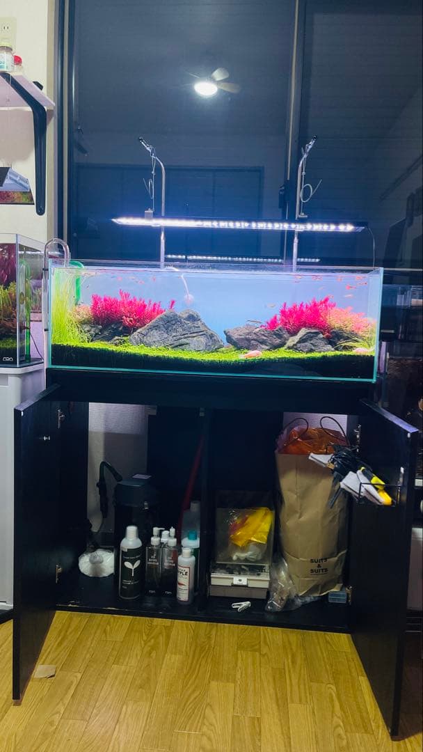 レイアウト組み立て済み美しい水槽セット