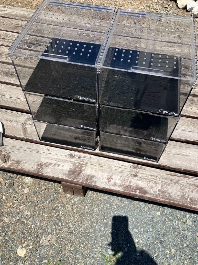 クリアネス　レプタイルケース　6個　RC-250