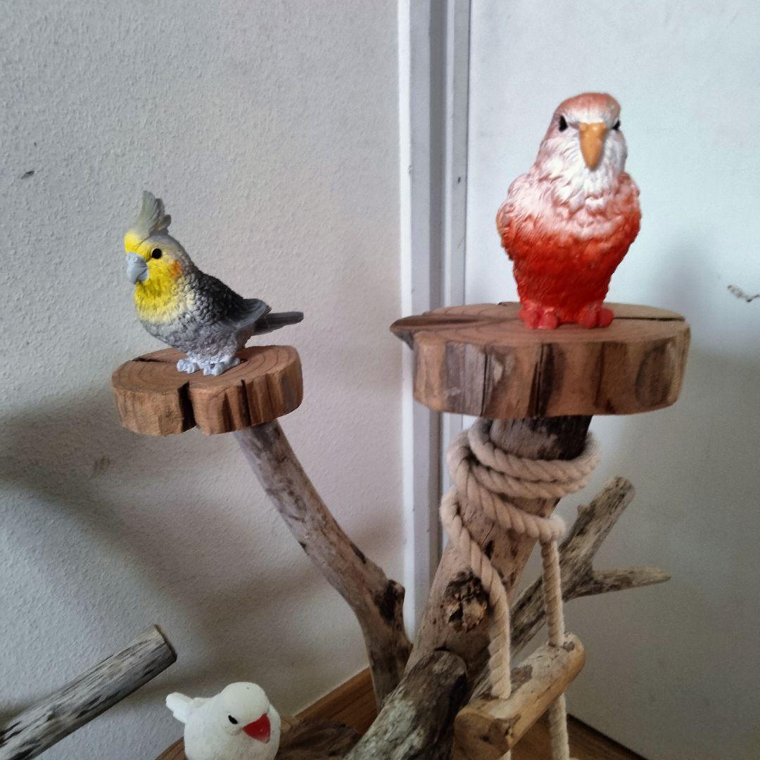 バードアスレチックジム ㊸ 天然木 自然木 流木 止まり木 インコ おもちゃ