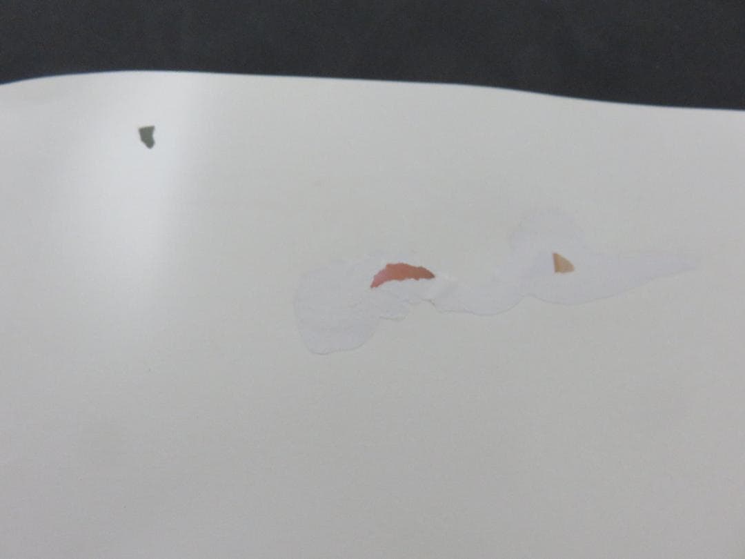 中古■うる星やつら■中吊り■ポスター■高橋留美子■アニメージュ■徳間書店■1月号