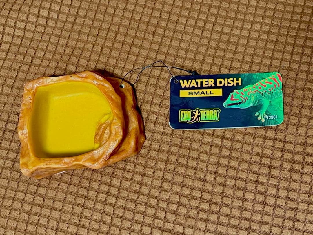 ※はちゅ様　★飼育セット★三晃商会パンテオン ブラック BK4535 その他備品