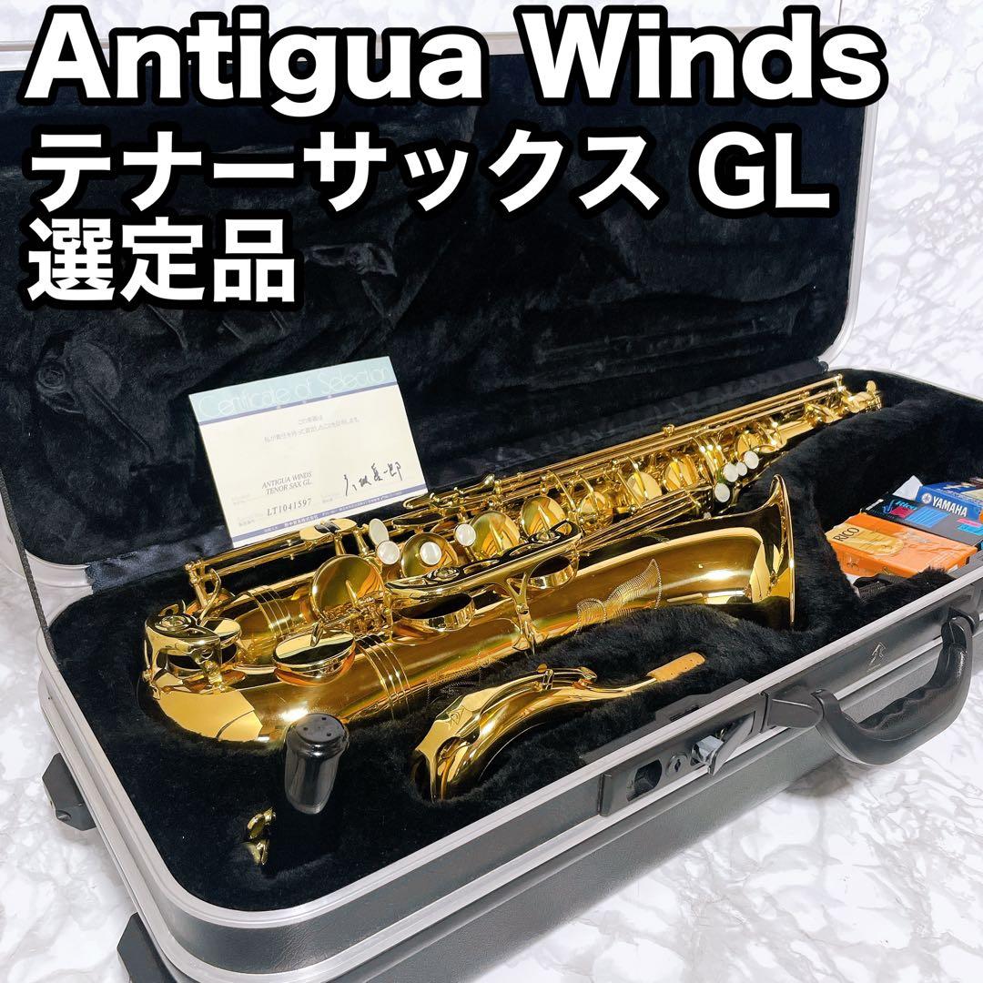 彦坂眞一郎氏 選定品　Antigua Winds テナーサックスgl