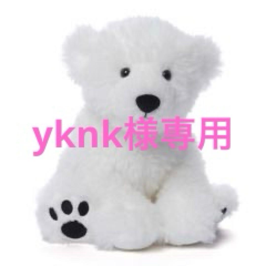 その他 yknk
