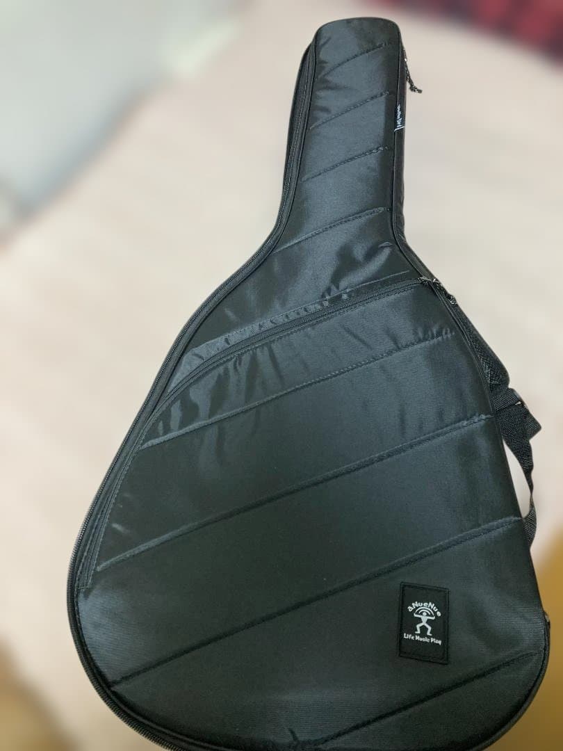 aNueNue aNN-LF23E フルサイズ・センターホールギター(PU付)