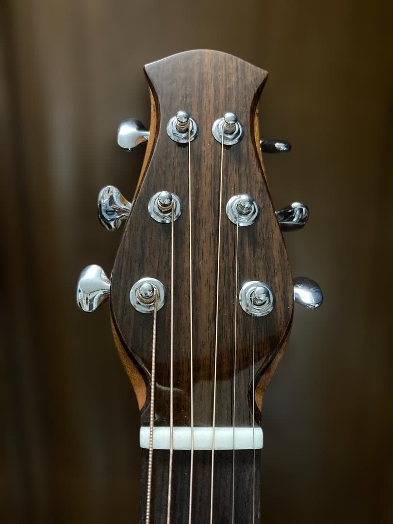 aNueNue aNN-LF23E フルサイズ・センターホールギター(PU付)