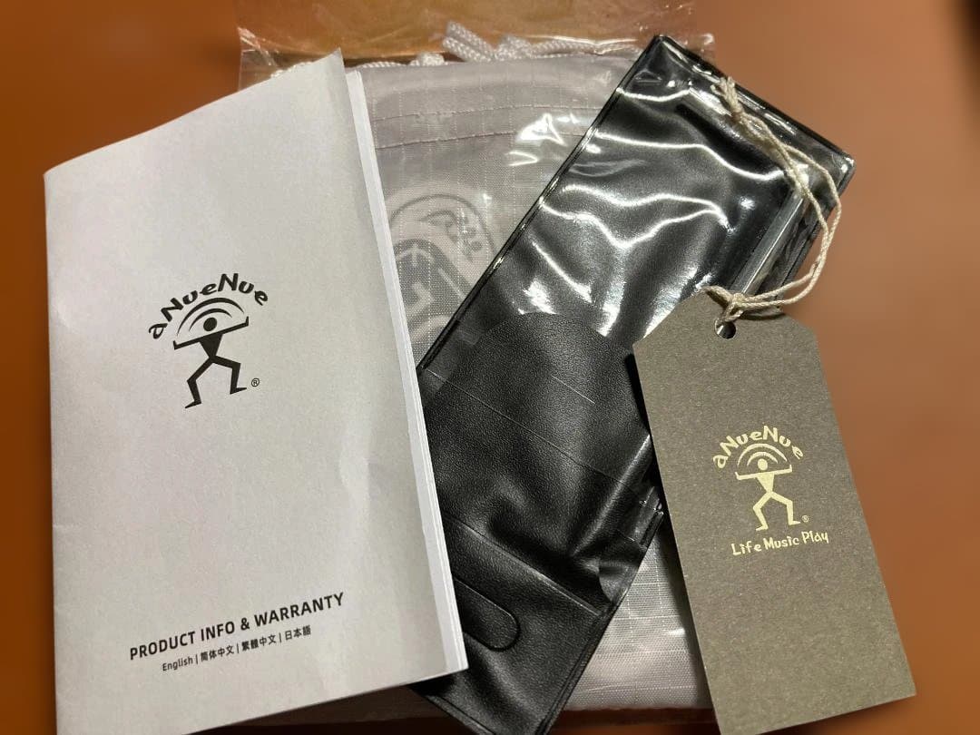 aNueNue aNN-LF23E フルサイズ・センターホールギター(PU付)