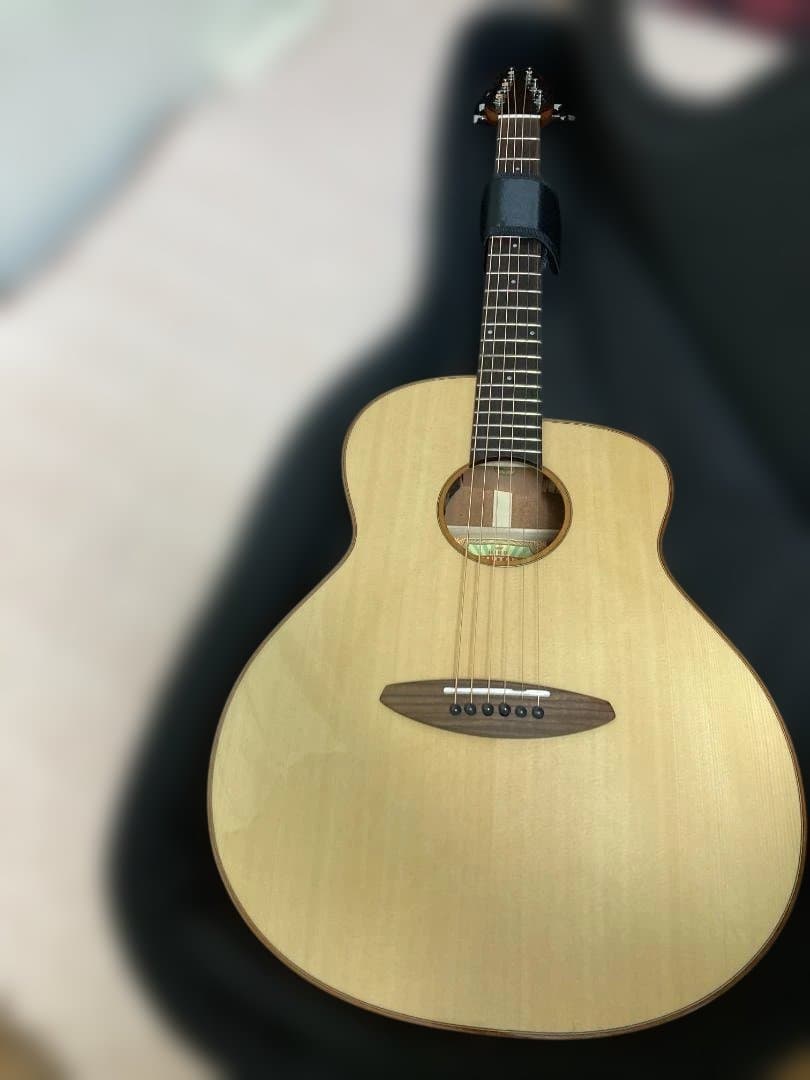 aNueNue aNN-LF23E フルサイズ・センターホールギター(PU付)