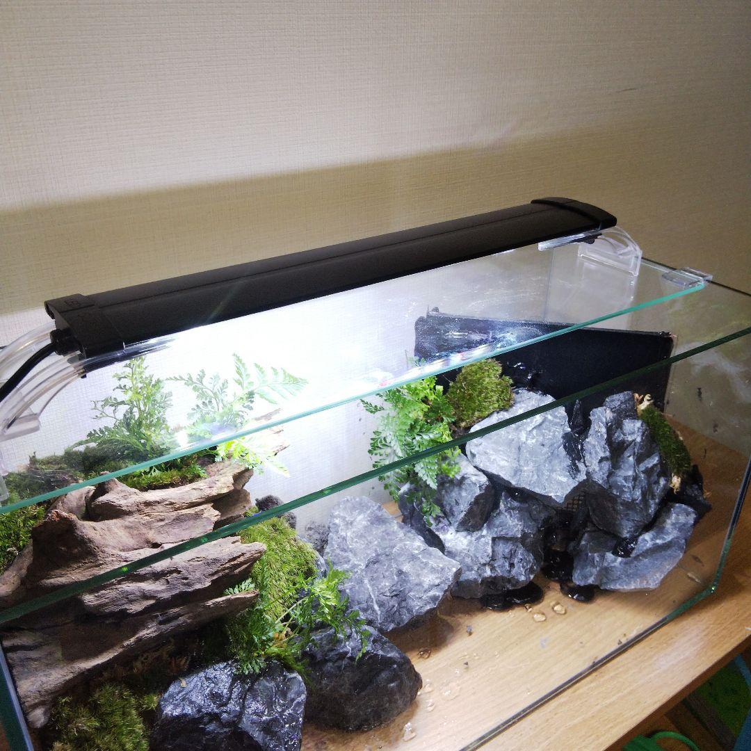 オーダーメイドアクアテラリウム