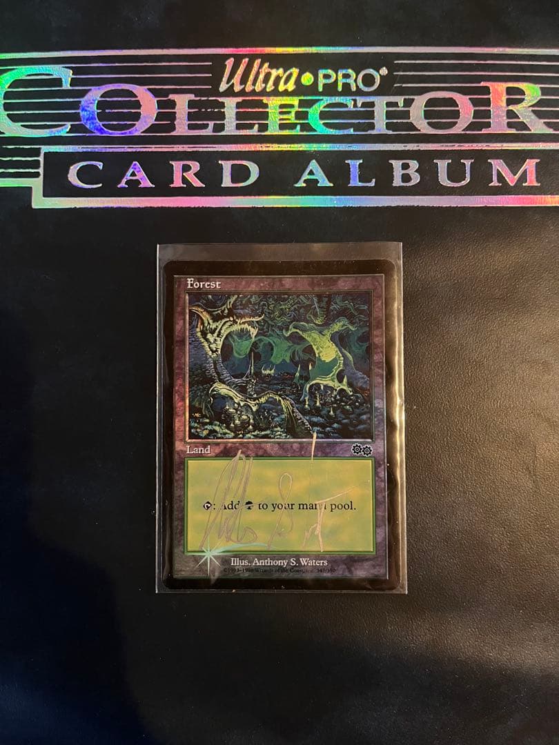 MTG 【USG】　Forrest アリーナfoil サインド