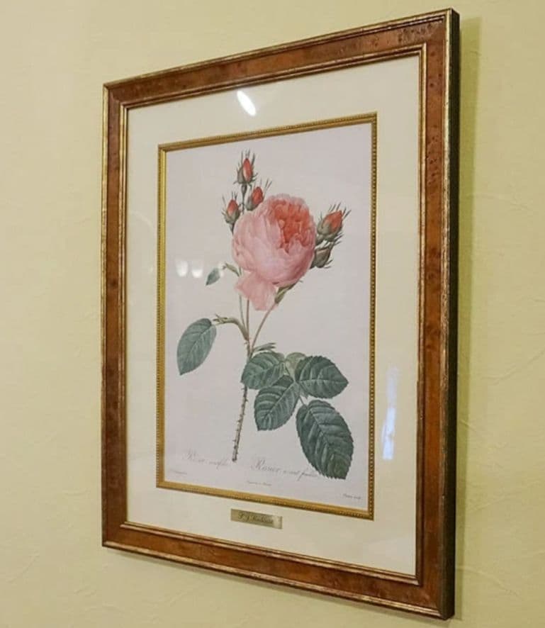 ① ルドゥーテ 絵額 レ ローズ バラ図譜 フォリオ判 銘木調フレーム 額 絵