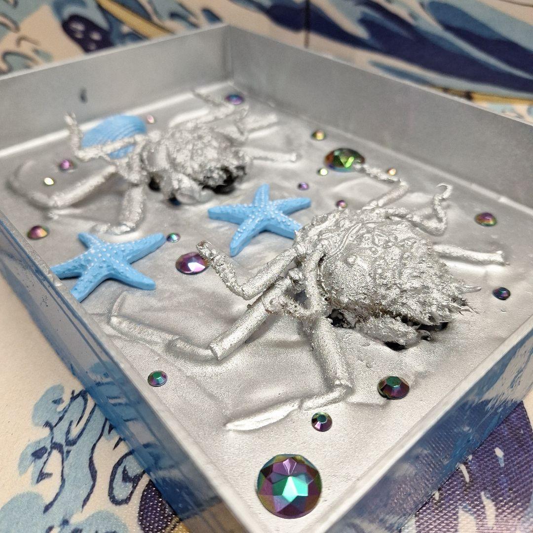 平家怨霊人面蟹稀少レア平家蟹鬼面蟹ペア二点凹凸リアル立体標本飾り置物コレクション