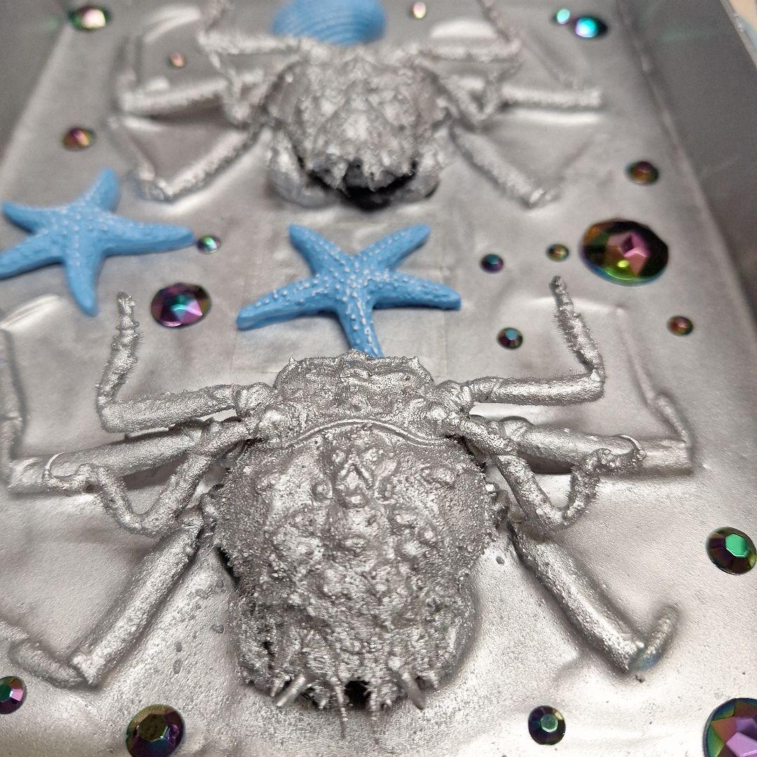 平家怨霊人面蟹稀少レア平家蟹鬼面蟹ペア二点凹凸リアル立体標本飾り置物コレクション