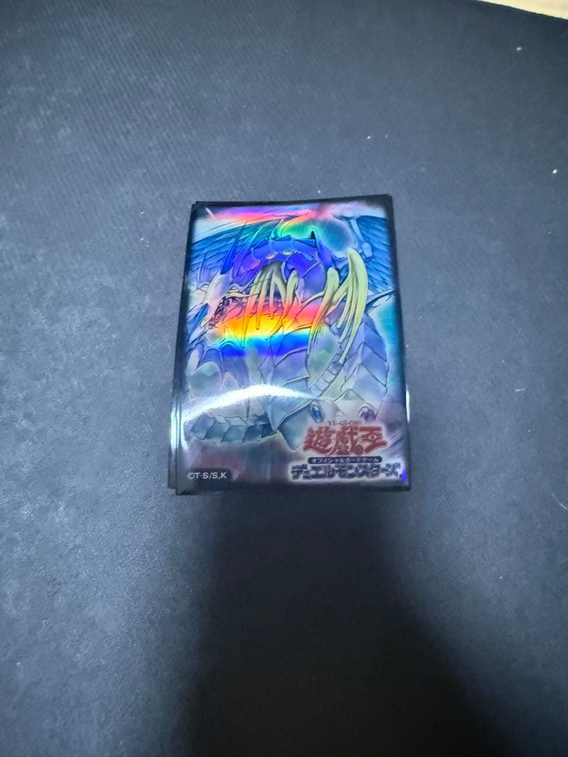 レインボードラゴン スリーブ