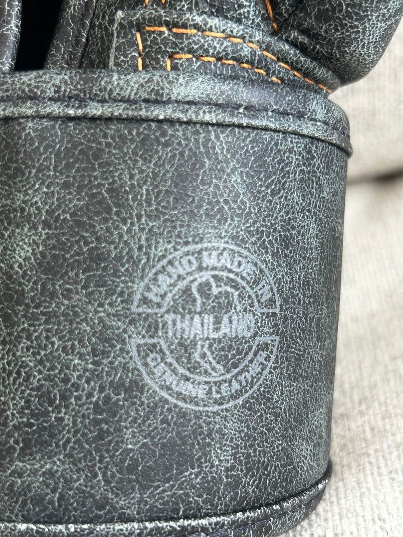 Fairtex フェアテックス グローブ 10 タイ現地正規店購入品