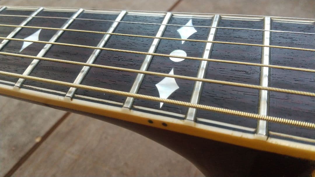 レオさん専用 ARIA Elecord AE-100 エレアコギター